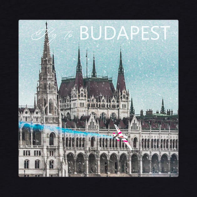 Fly to Budapest by bluealan